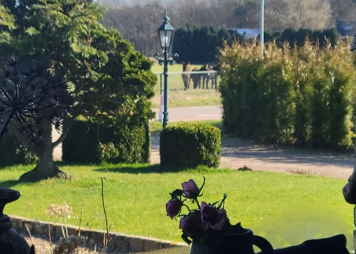 Springlands Farm Beesel